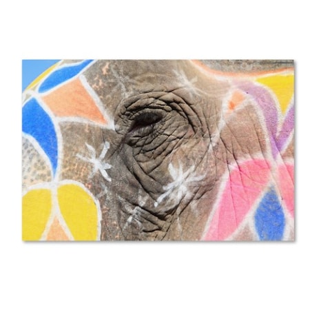 Robert Harding Picture Library 'Elephants 17' Canvas Art,30x47